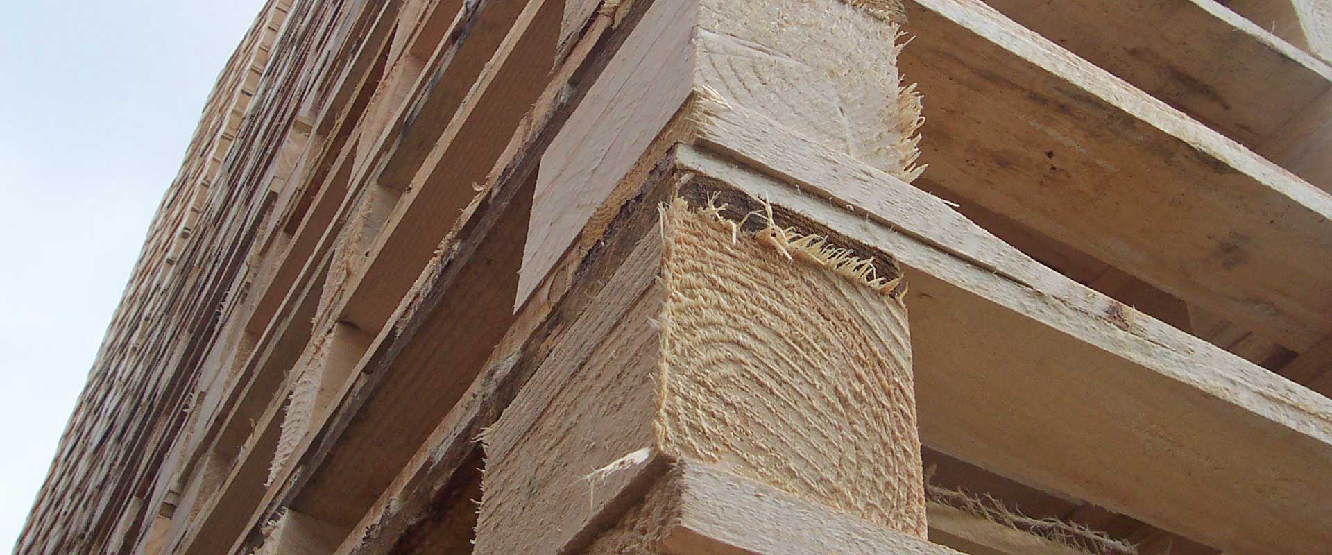 ISPM15 Questions and Answers Heat Treated Wooden Pallets